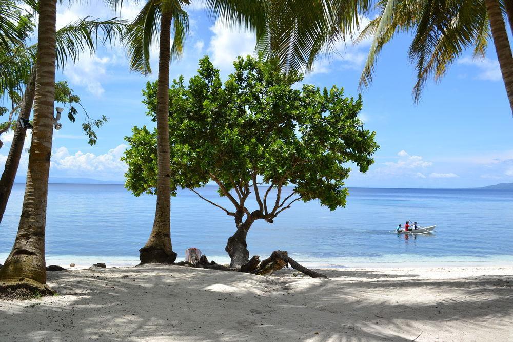 Momo Beach Escape Panglao Eksteriør billede